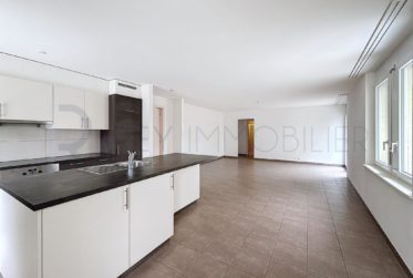 Appartement en rez avec terrasse
