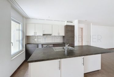 Appartement en rez avec terrasse